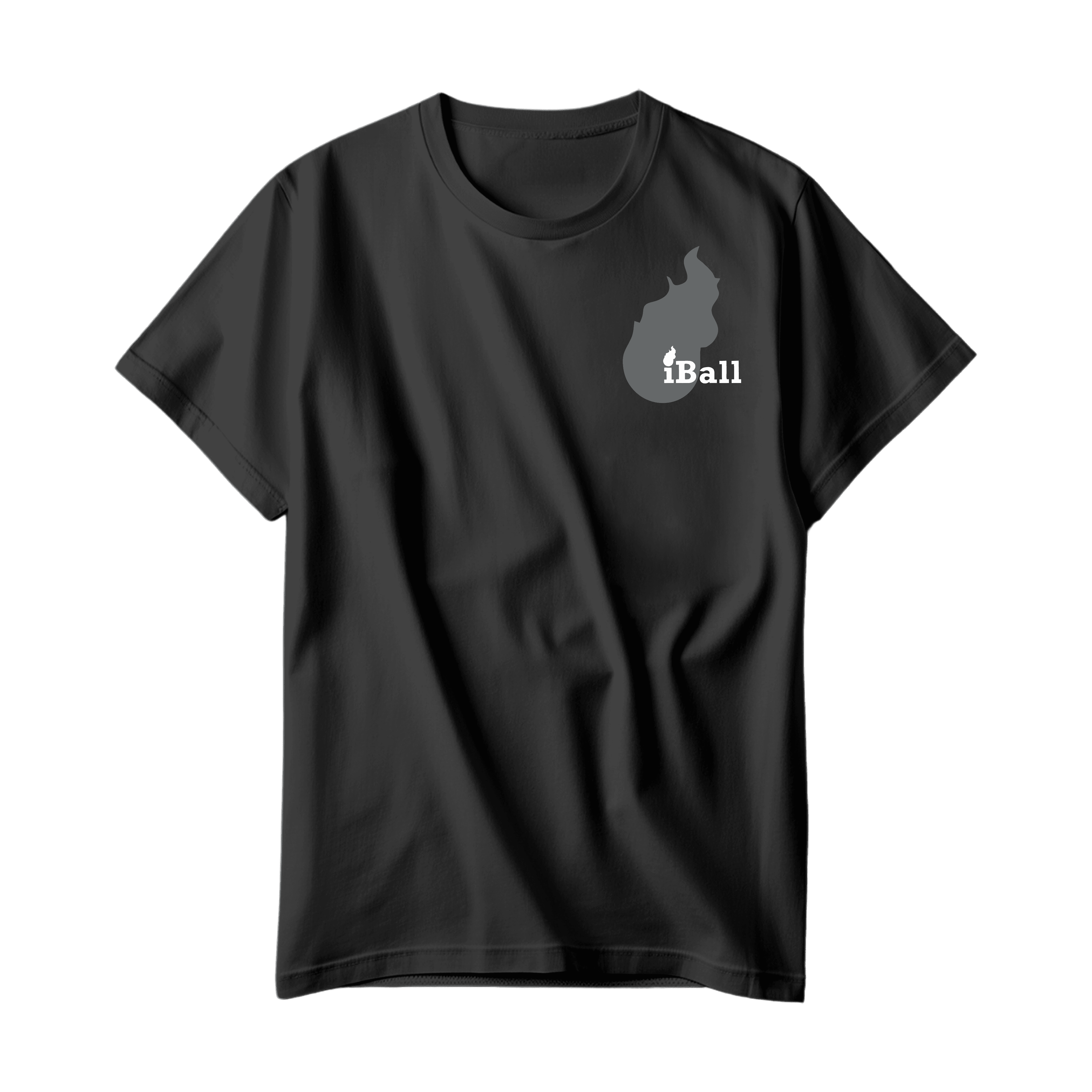 Black T-Shirt With Grey Alternate Logo